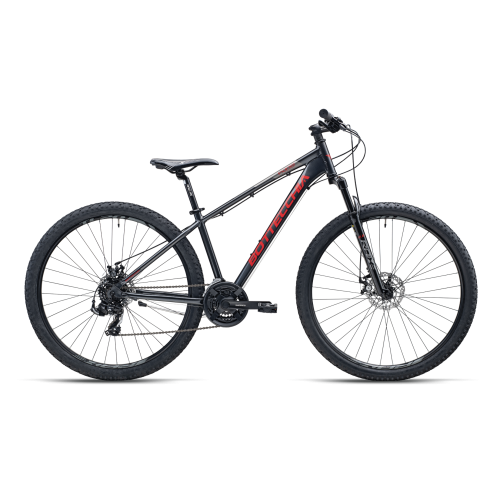 BOTTECCHIA 109